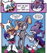Hot or Not porn comic page 01 on category Sonic The Hedgehog