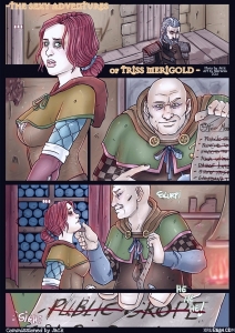 The Sexy Adventures of Triss Merigold porn comic page 01 on category The Witcher