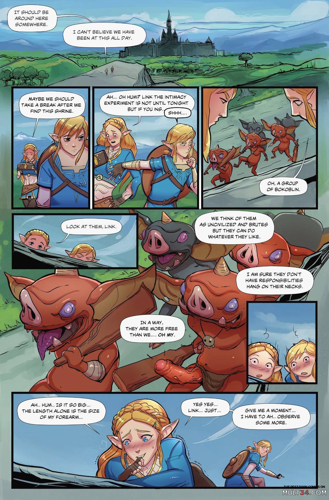 The Legend of Zelda_ Breath of Bokoblin Cock page 2