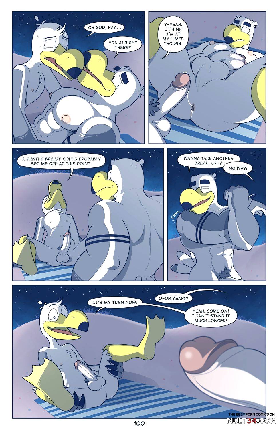 Brogulls page 101
