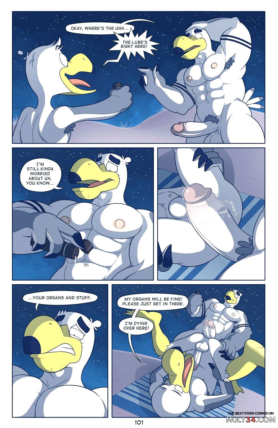 Brogulls page 102