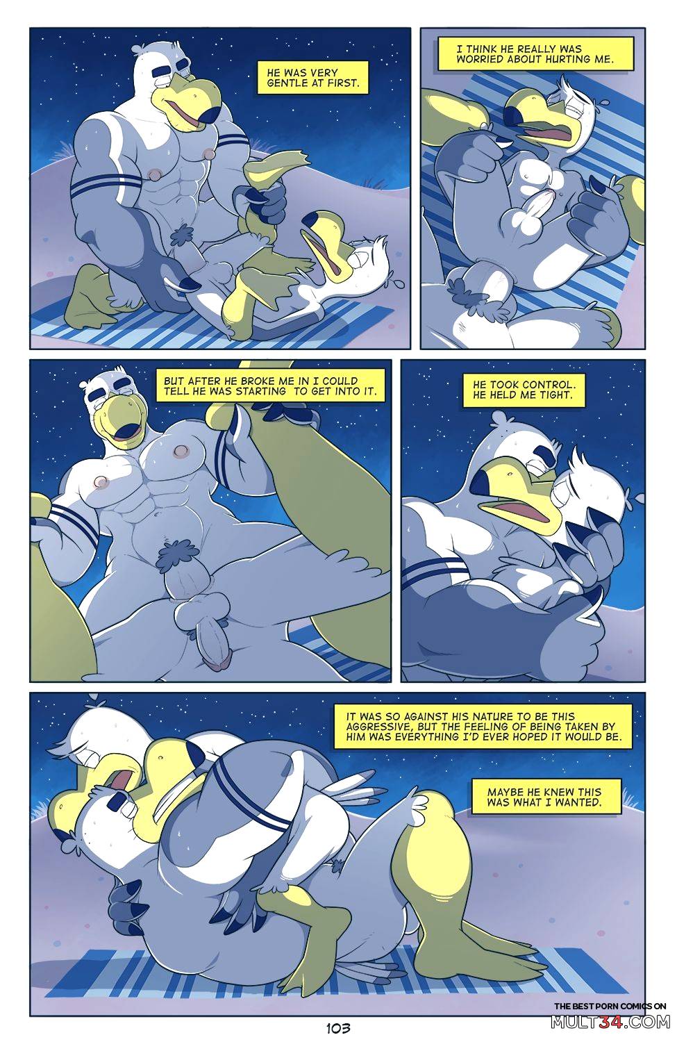 Brogulls page 104