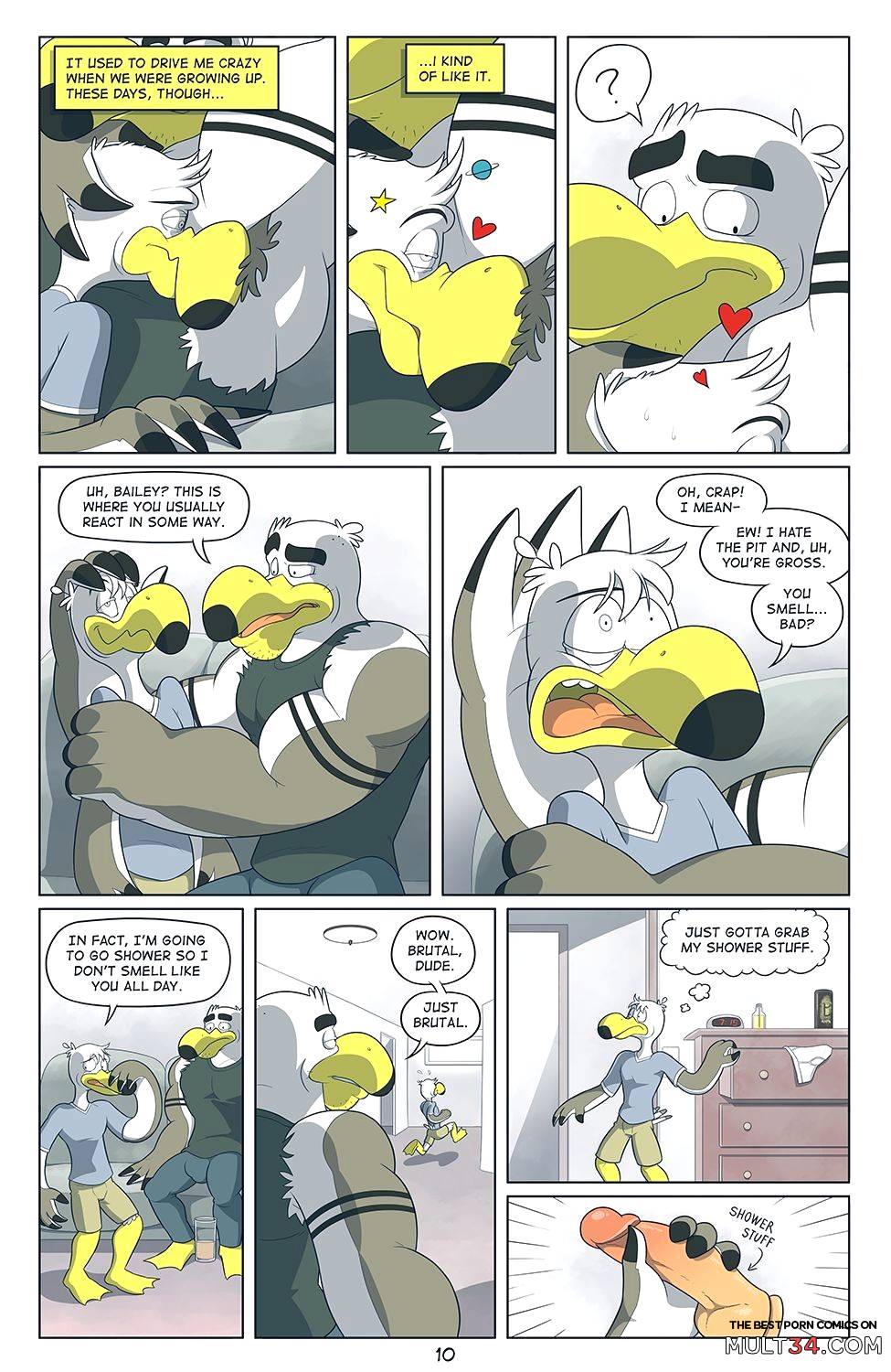 Brogulls page 11