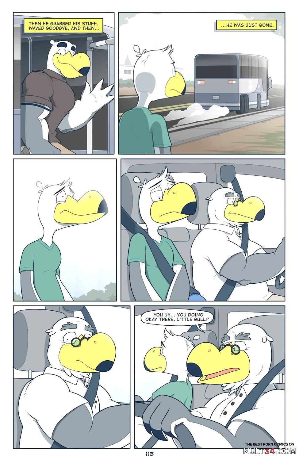 Brogulls page 114