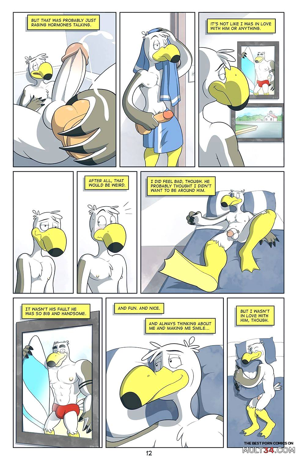 Brogulls page 13