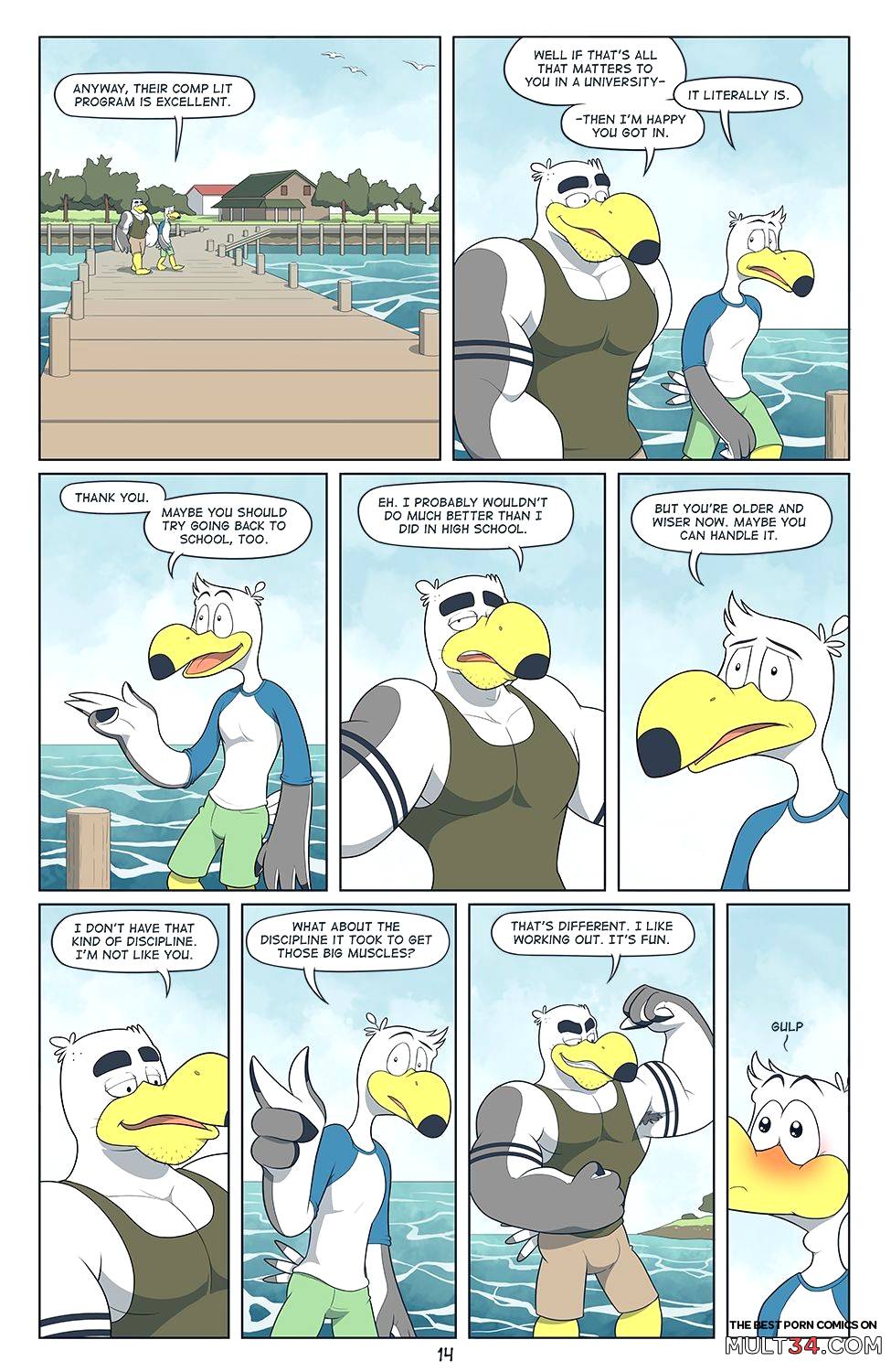 Brogulls page 15