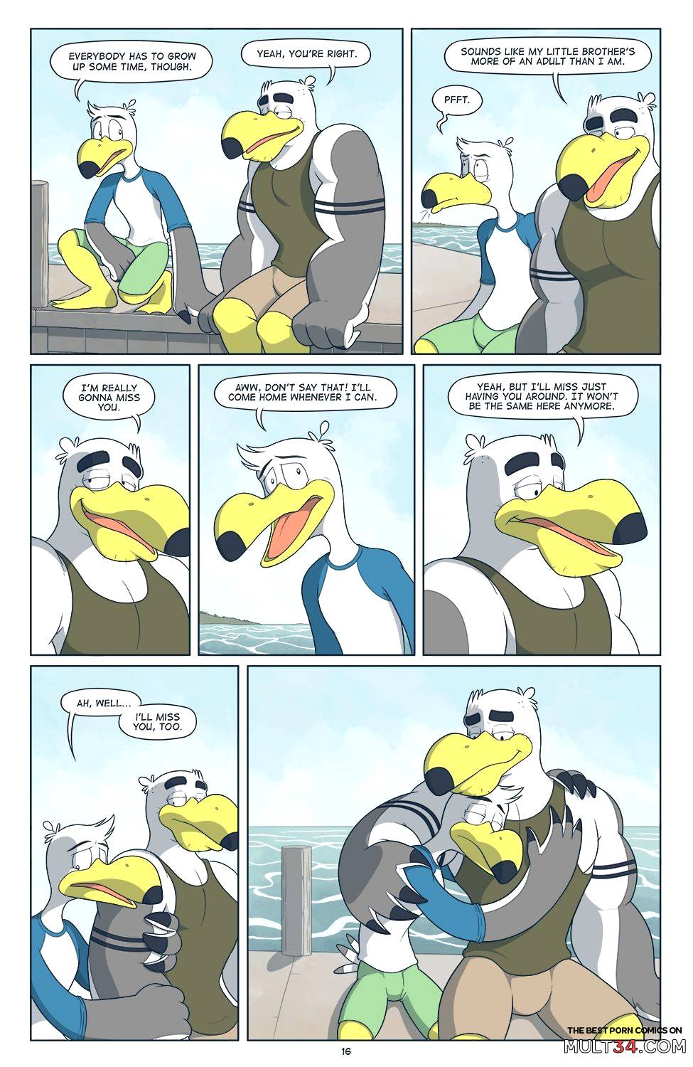 Brogulls page 17