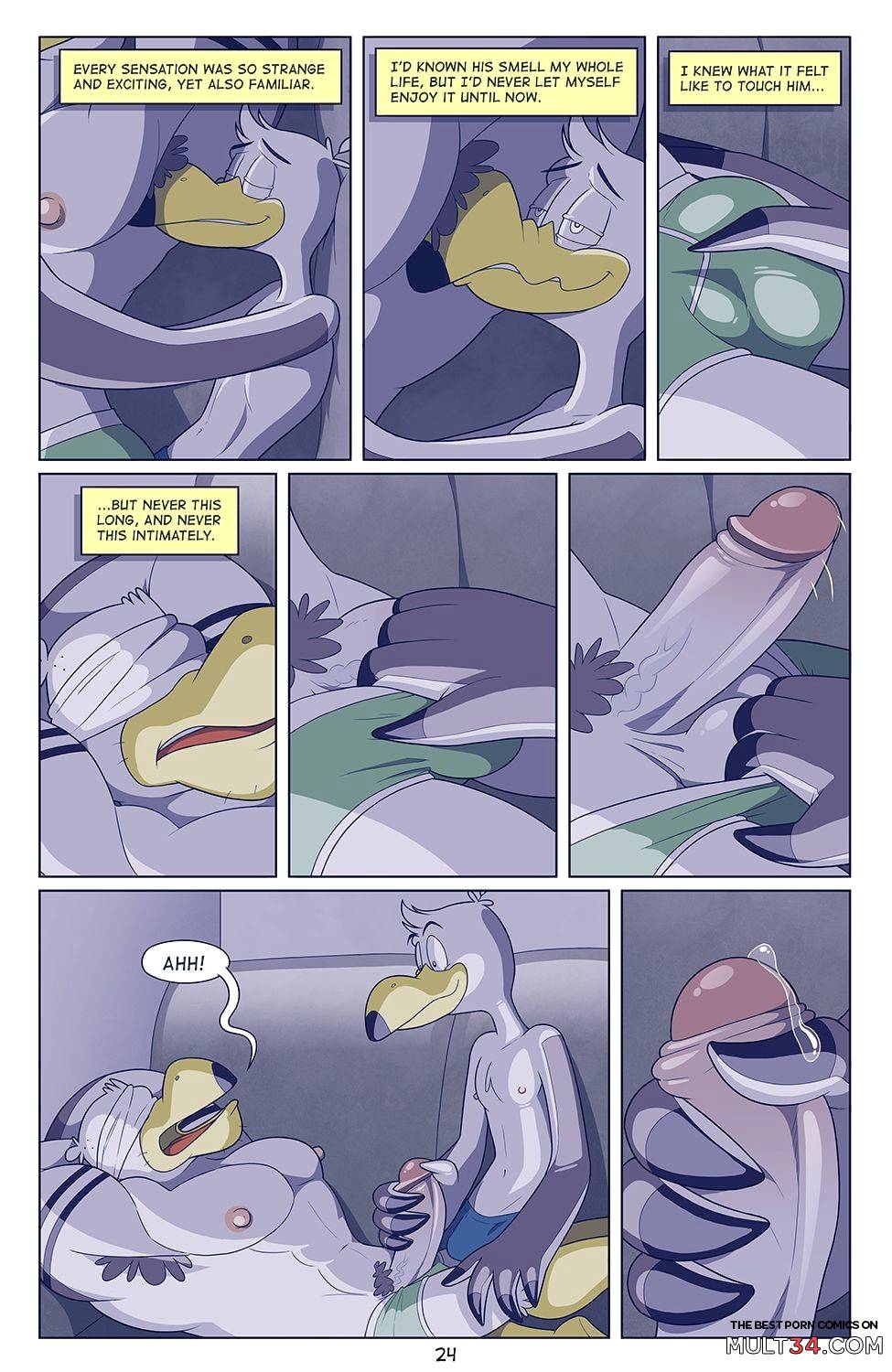 Brogulls page 25