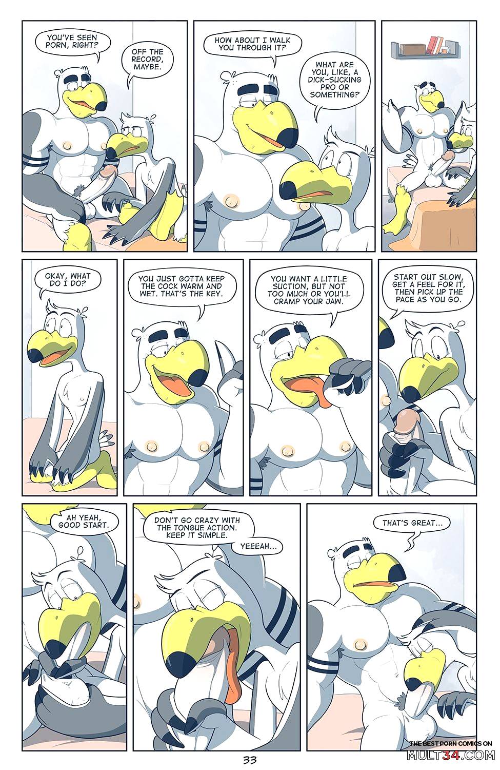 Brogulls page 34