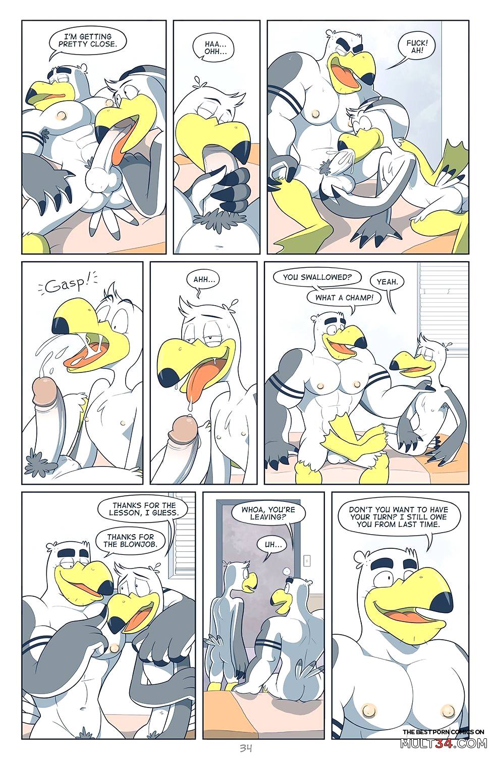 Brogulls page 35