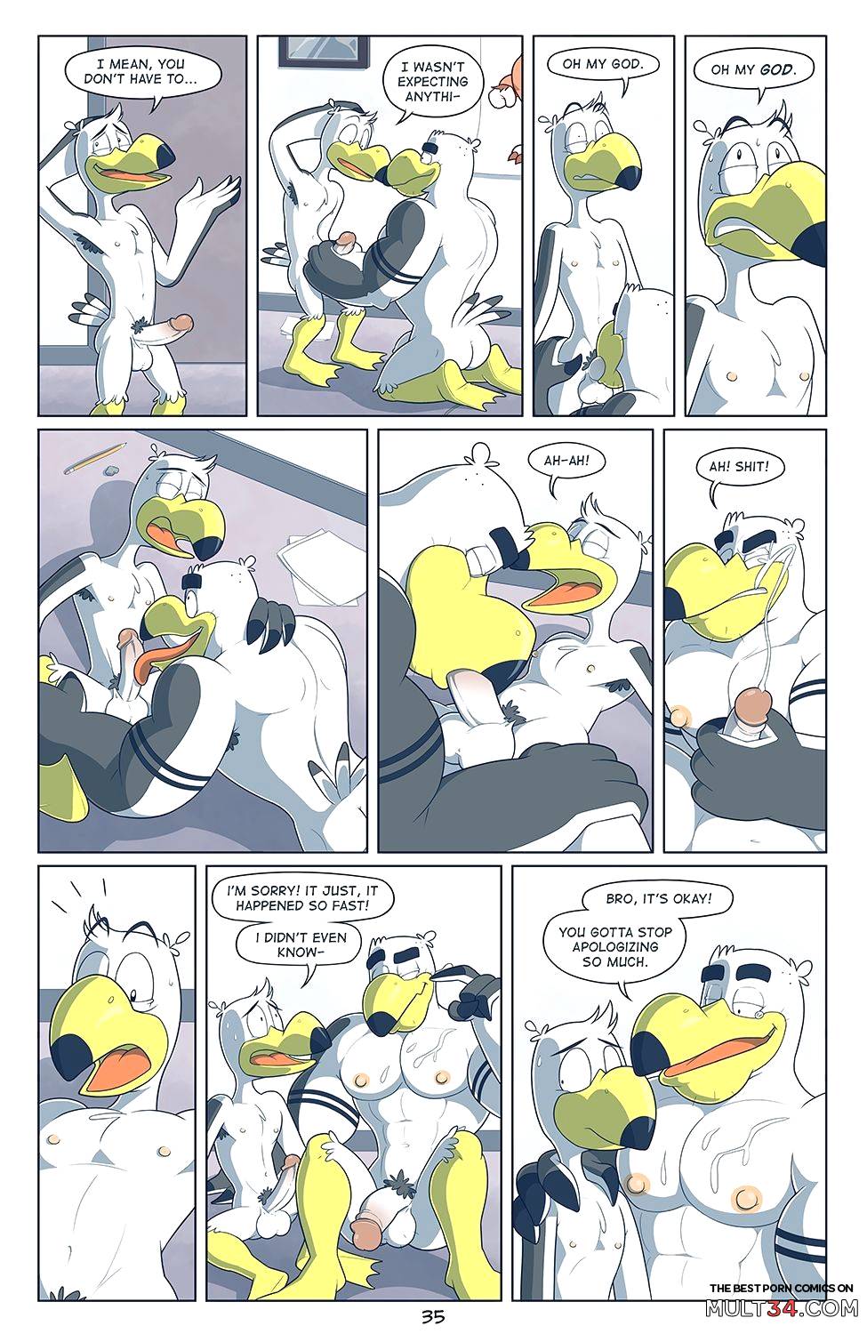 Brogulls page 36