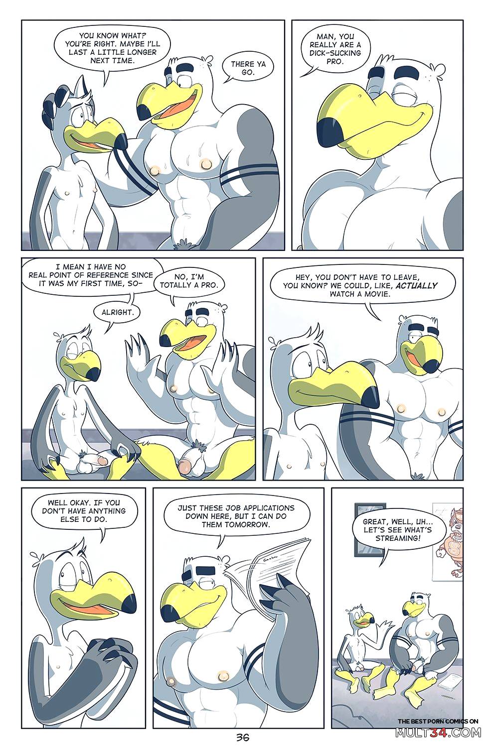 Brogulls page 37