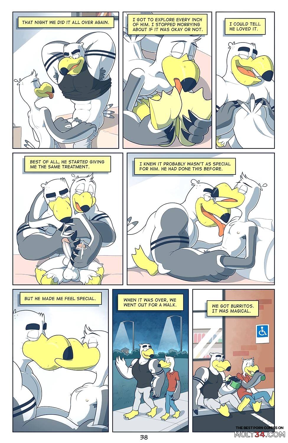 Brogulls page 39