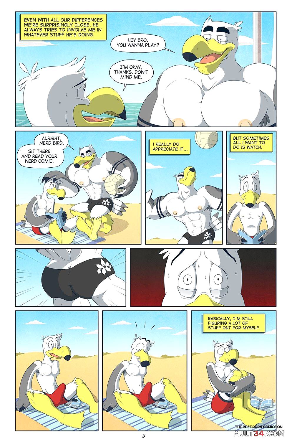 Brogulls page 4