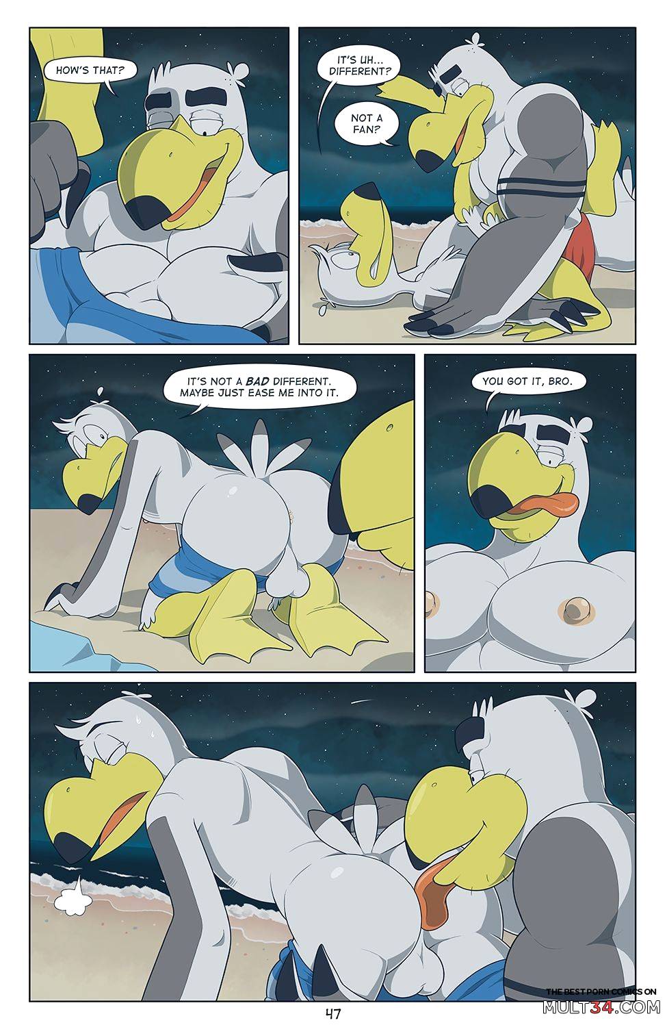 Brogulls page 48