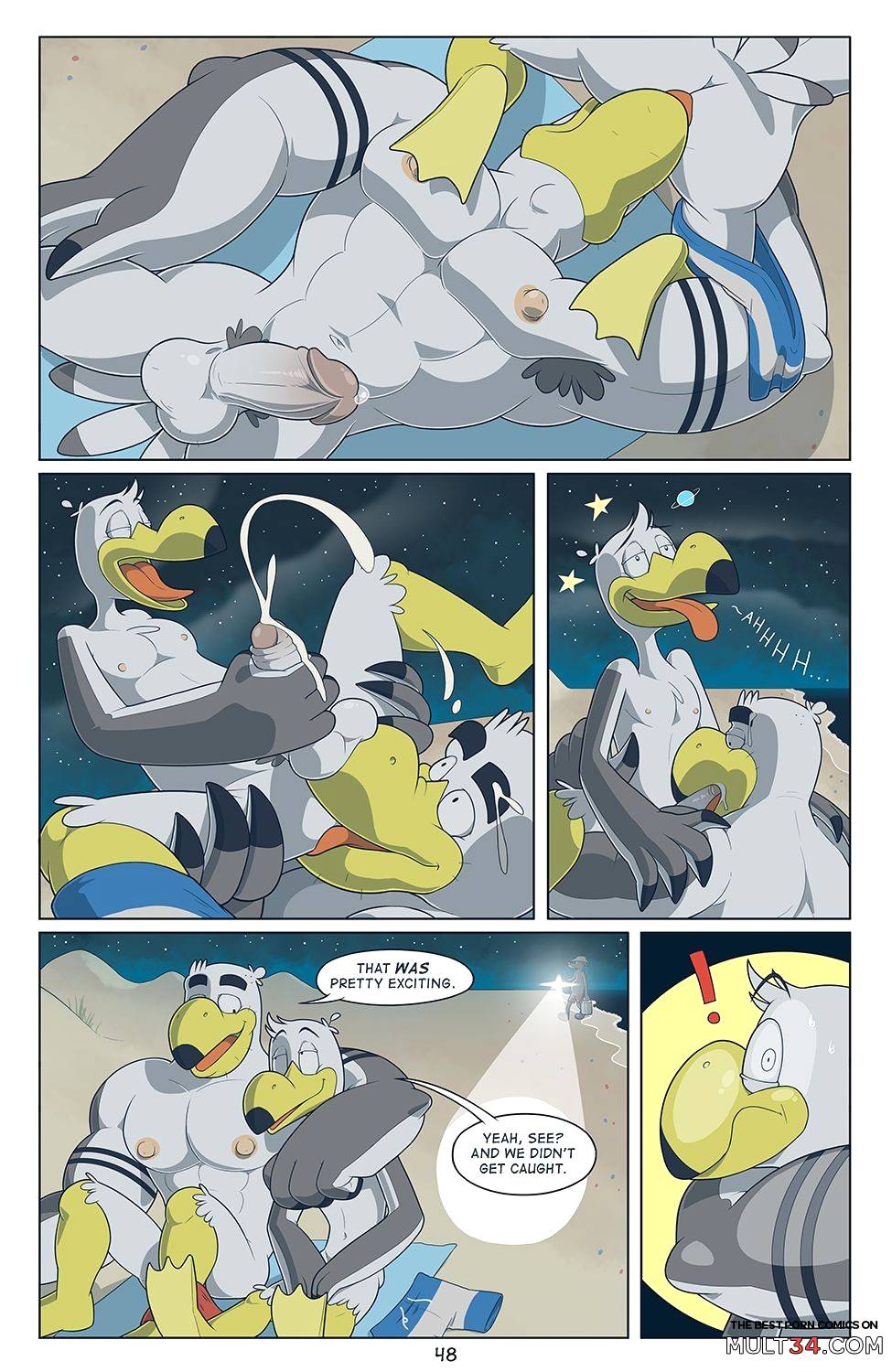 Brogulls page 49