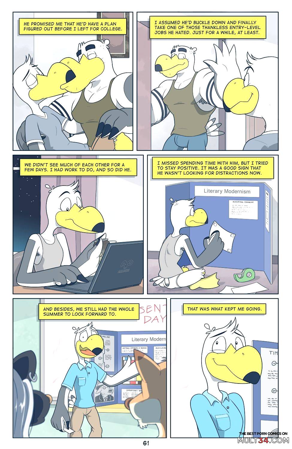 Brogulls page 62