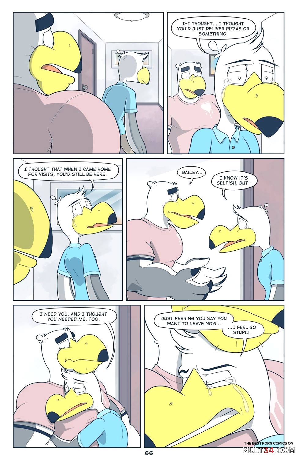 Brogulls page 67