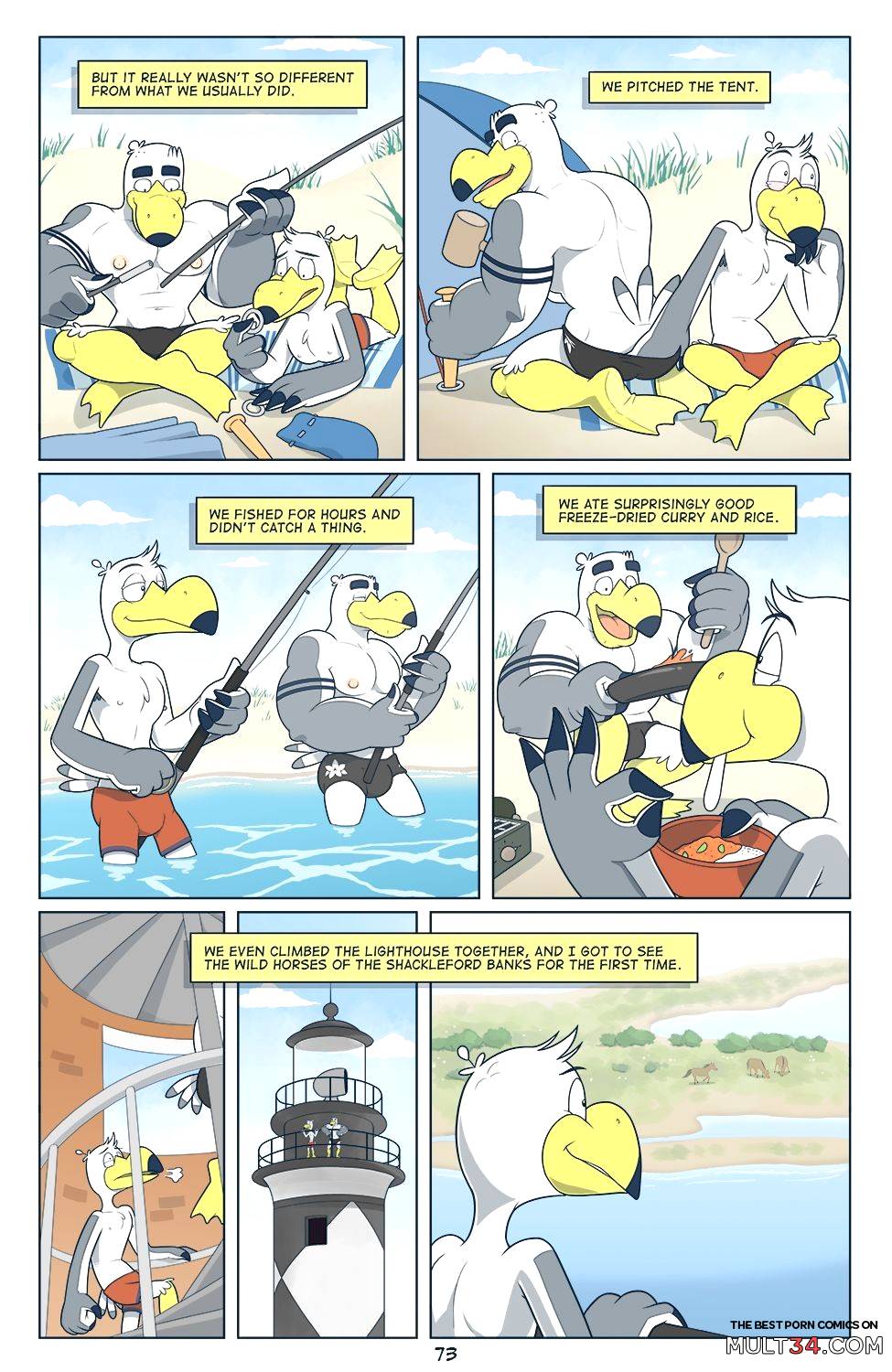 Brogulls page 74