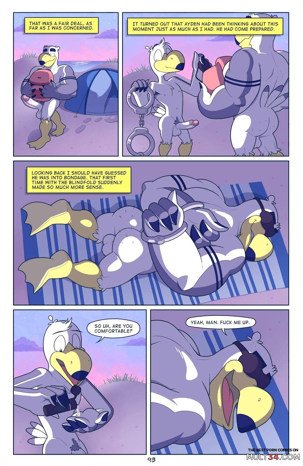 Brogulls page 94