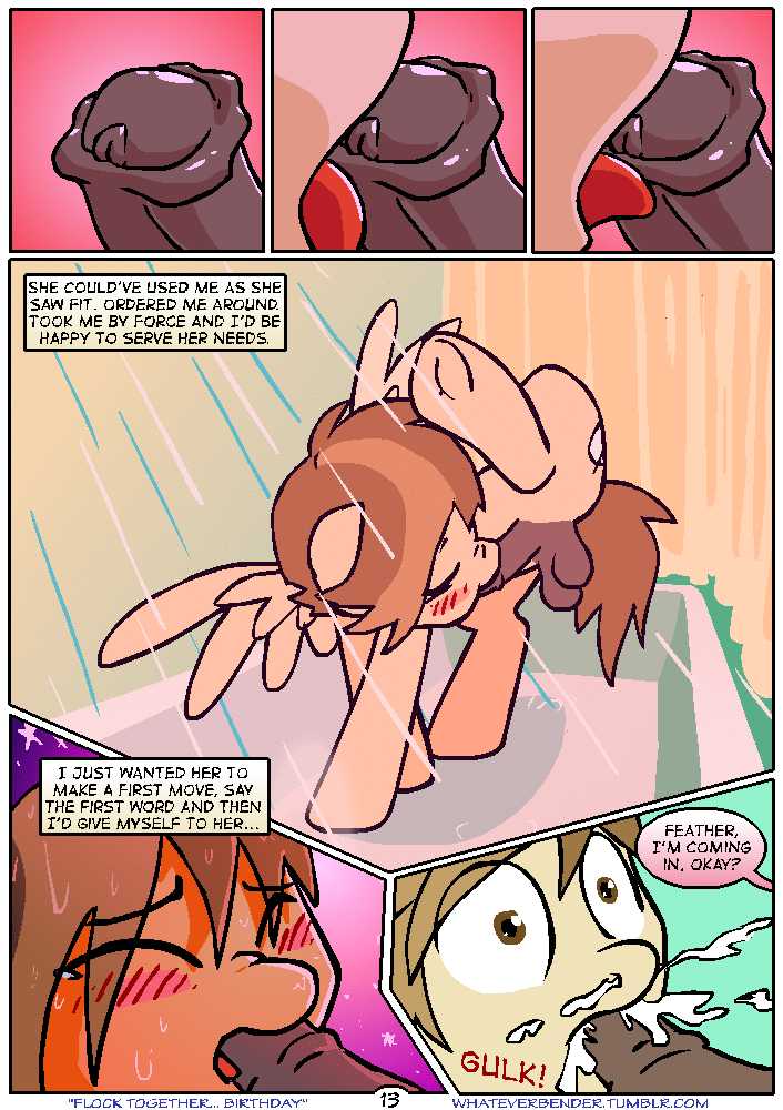 Flock Together...Birthday page 13