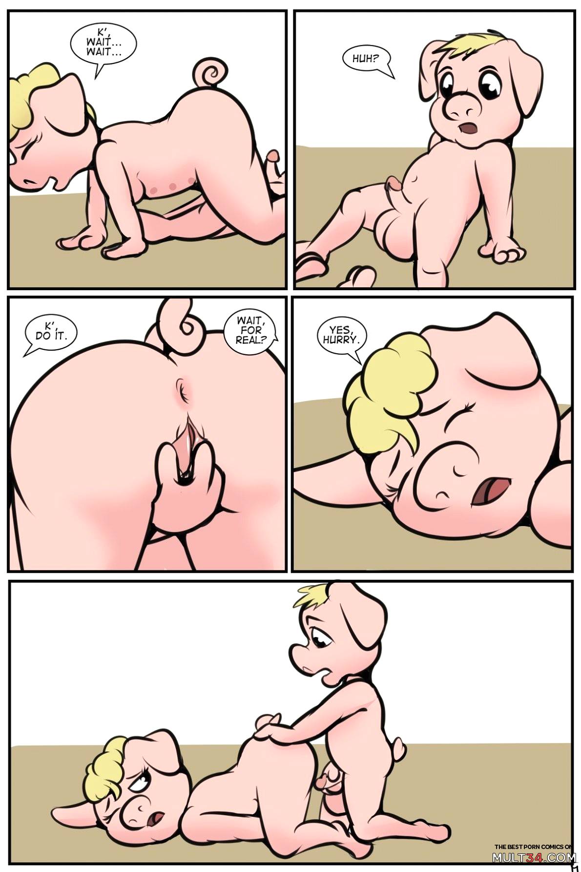 Pork Butt page 20