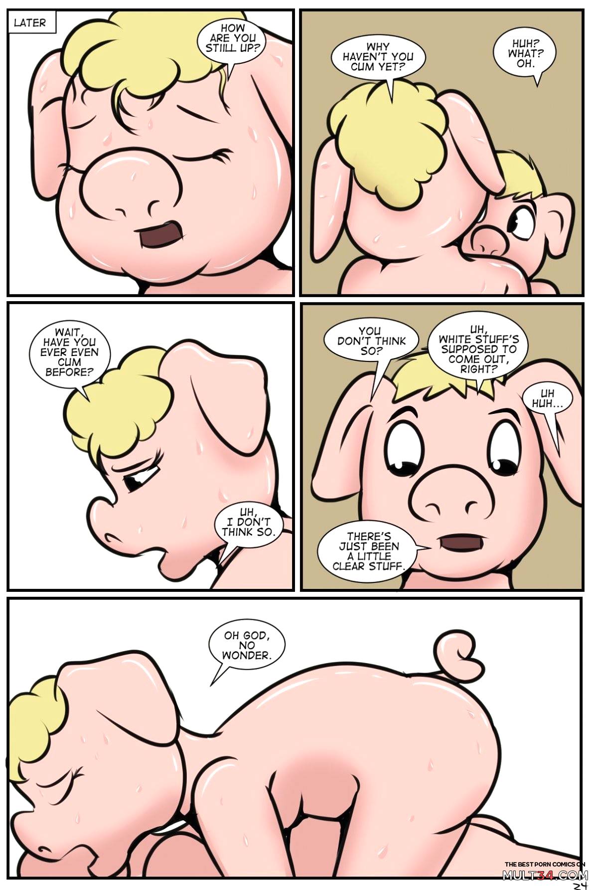 Pork Butt page 25