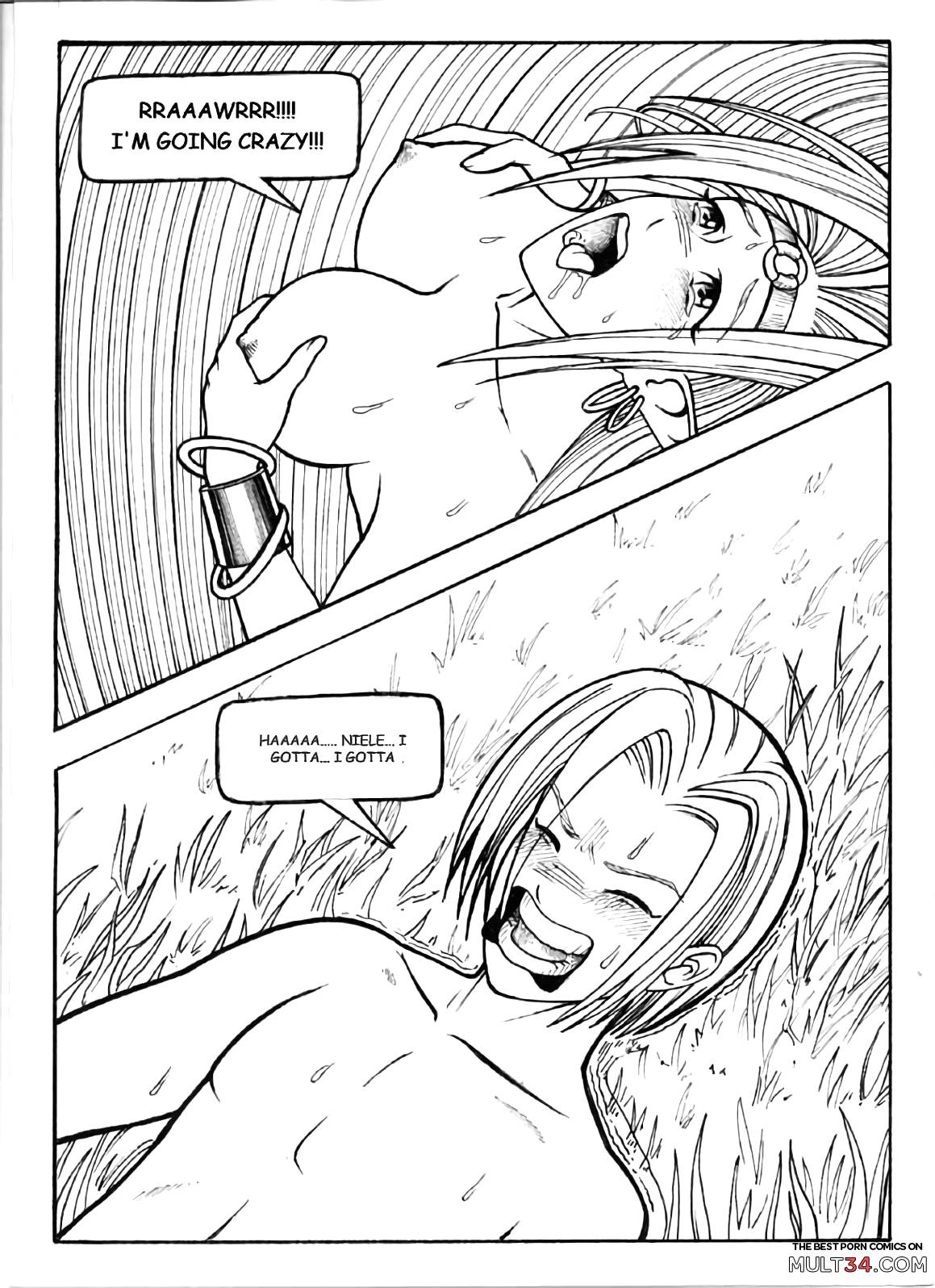 ROLA avenger page 13