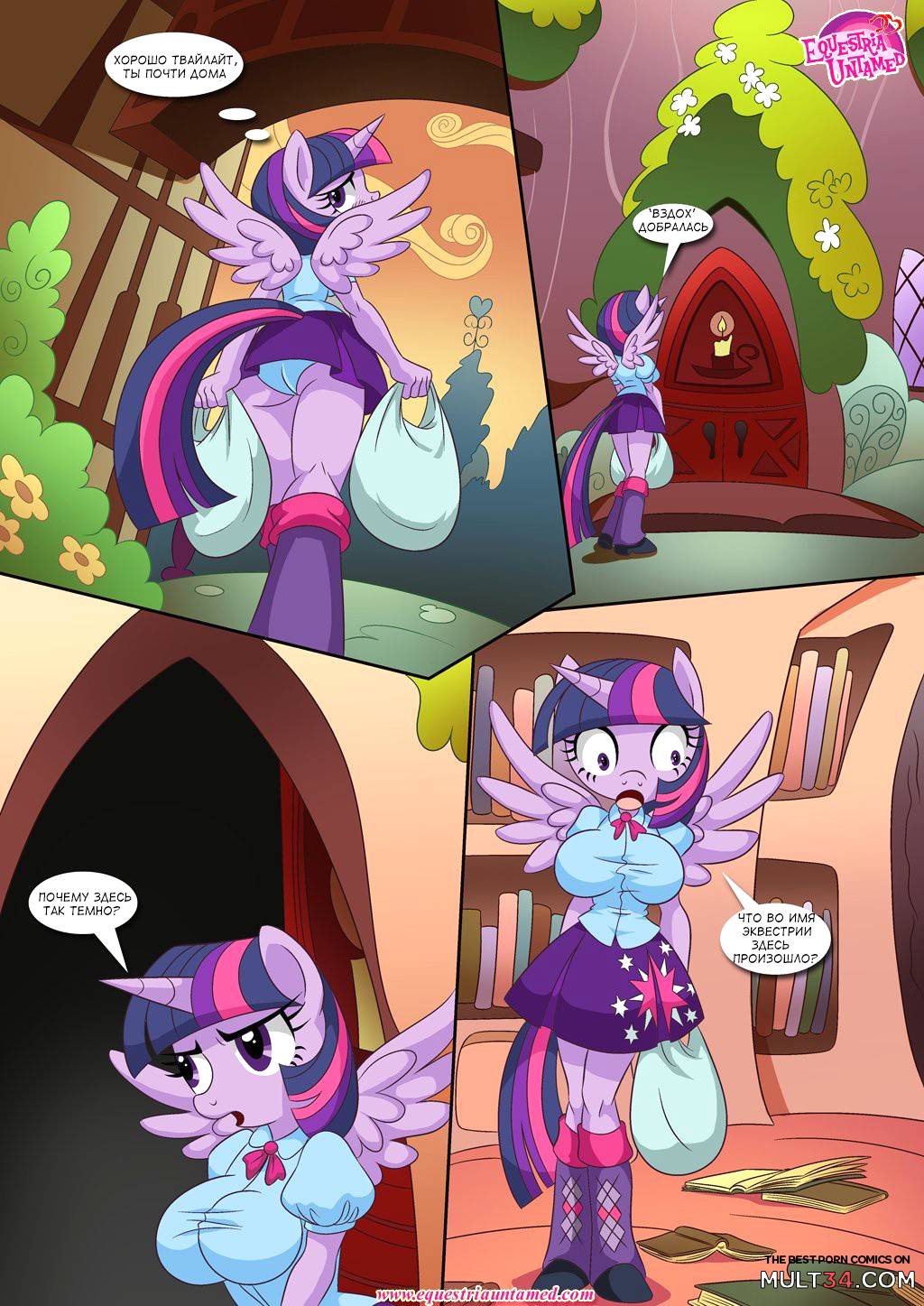 Sex ed with miss Twilght Sparkle [RUS] page 3