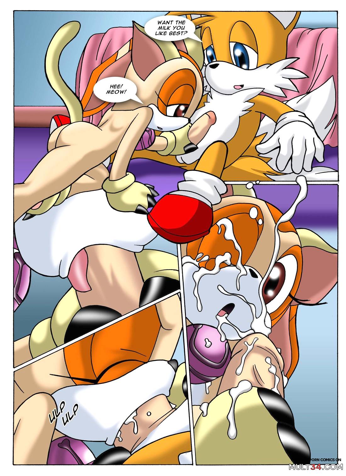 Sonic XXX Project 2 page 10