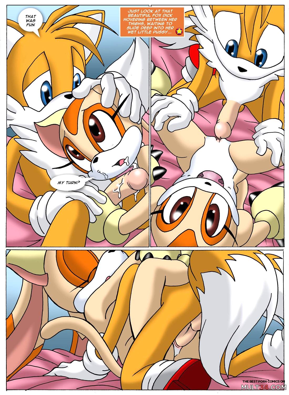 Sonic XXX Project 2 page 11