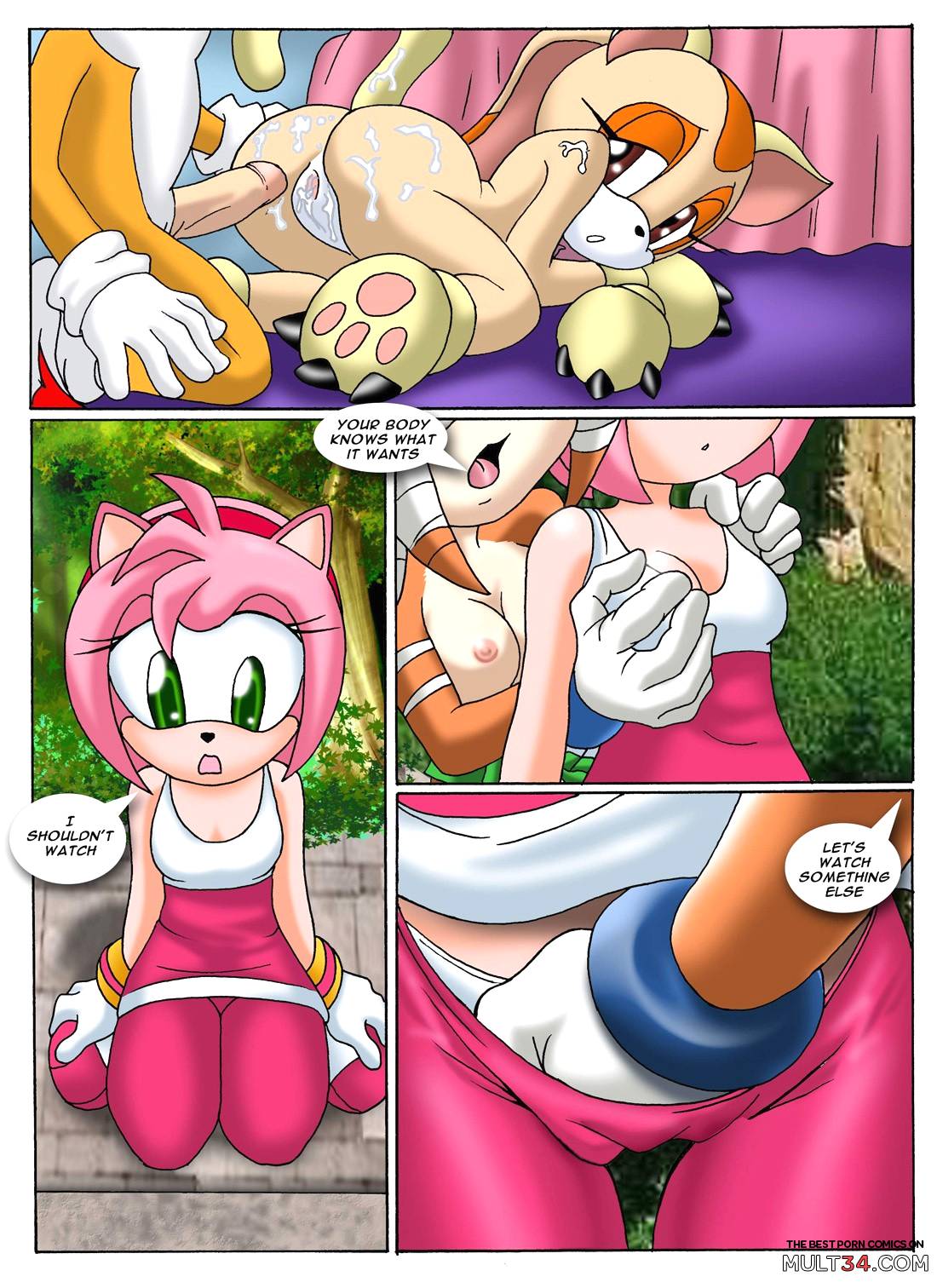 Sonic XXX Project 2 page 13