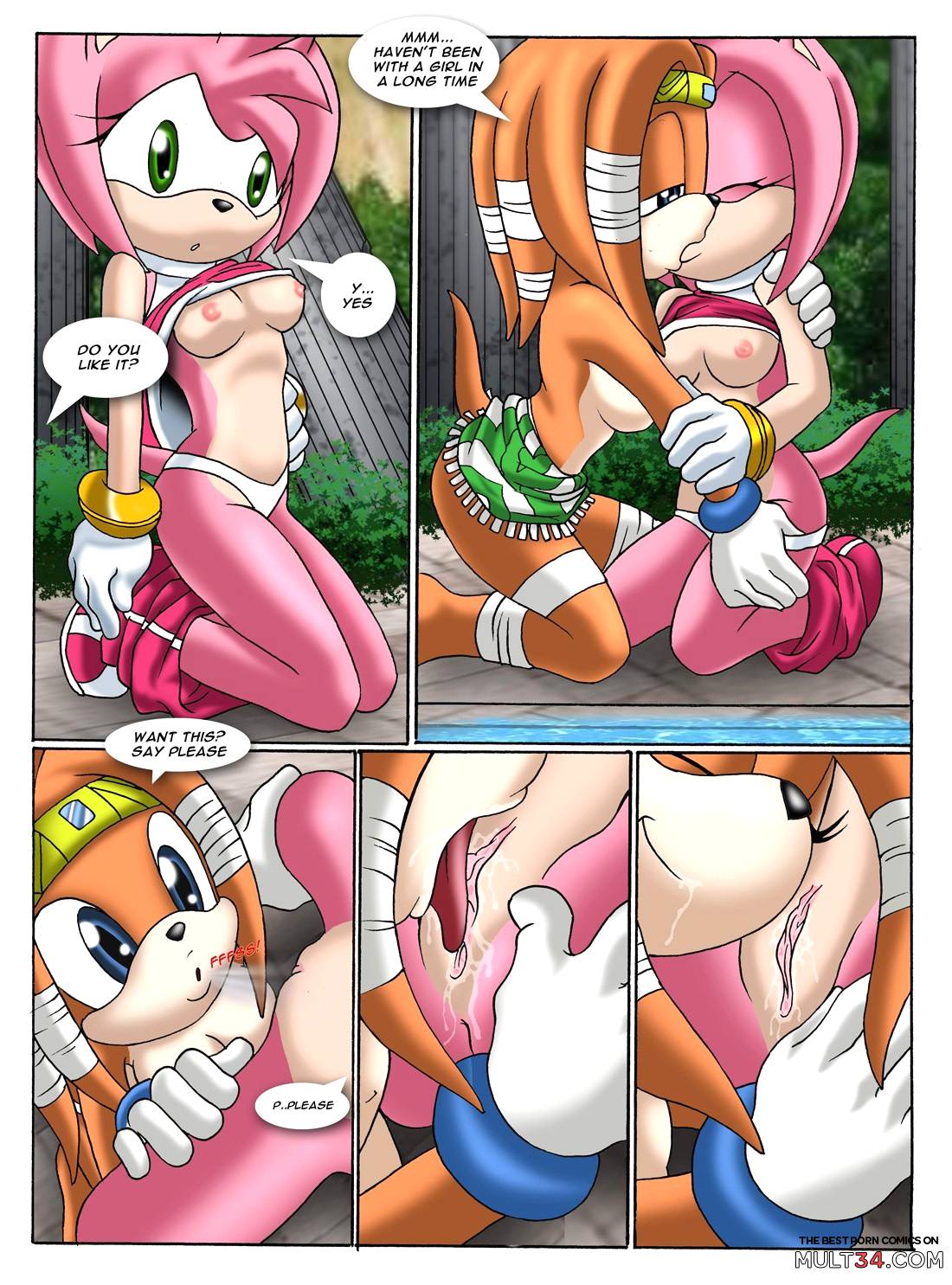 Sonic XXX Project 2 page 16
