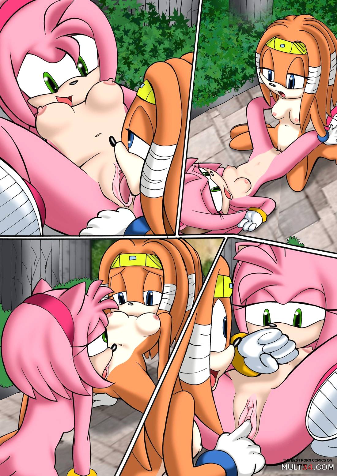 Sonic XXX Project 2 page 17