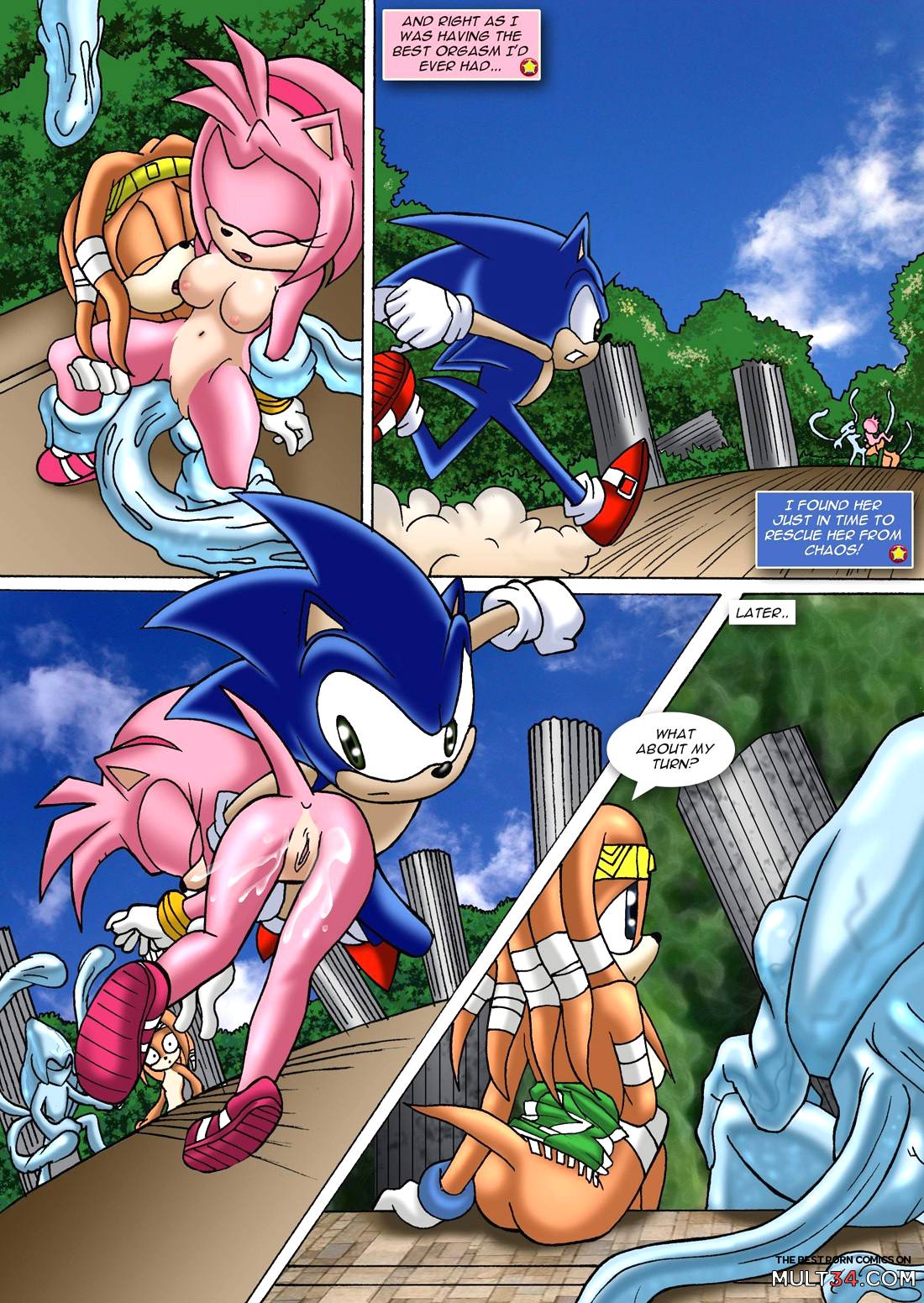 Sonic XXX Project 2 page 23