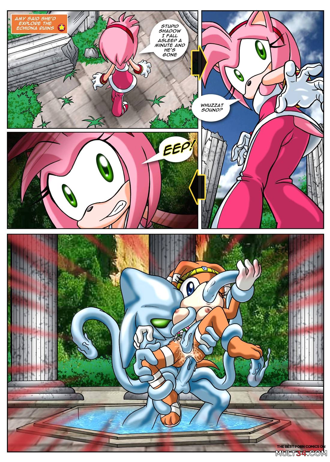 Sonic XXX Project 2 page 7