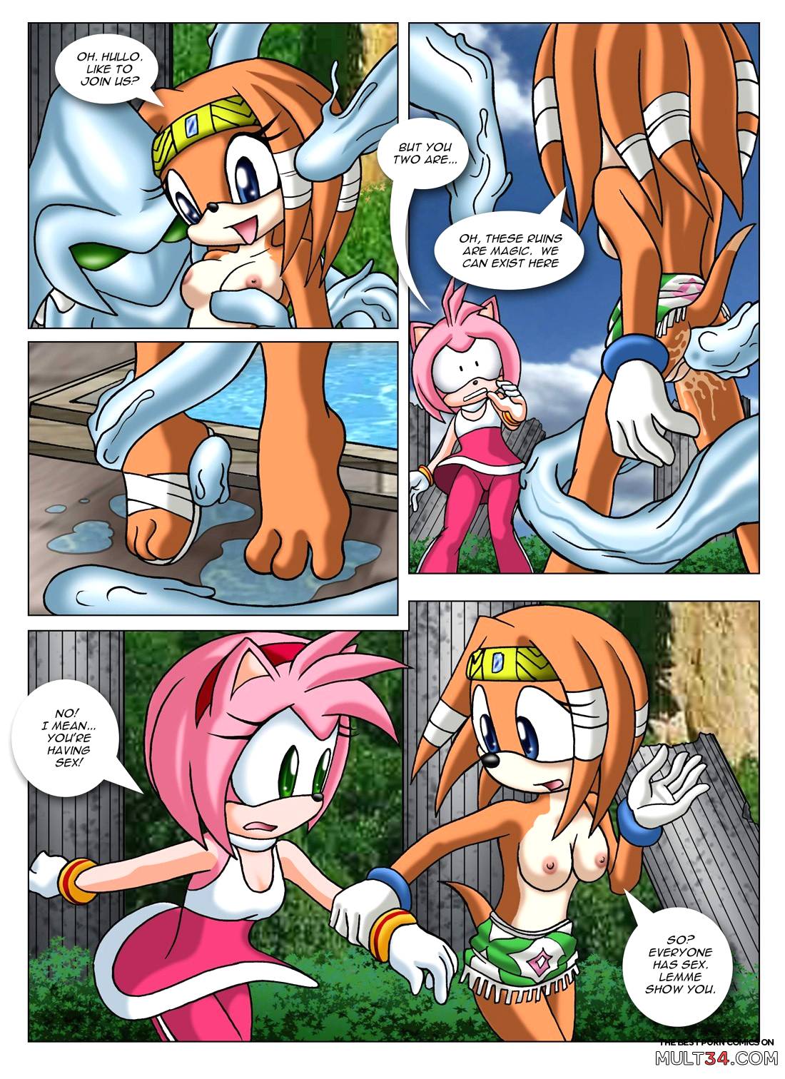 Sonic XXX Project 2 page 8
