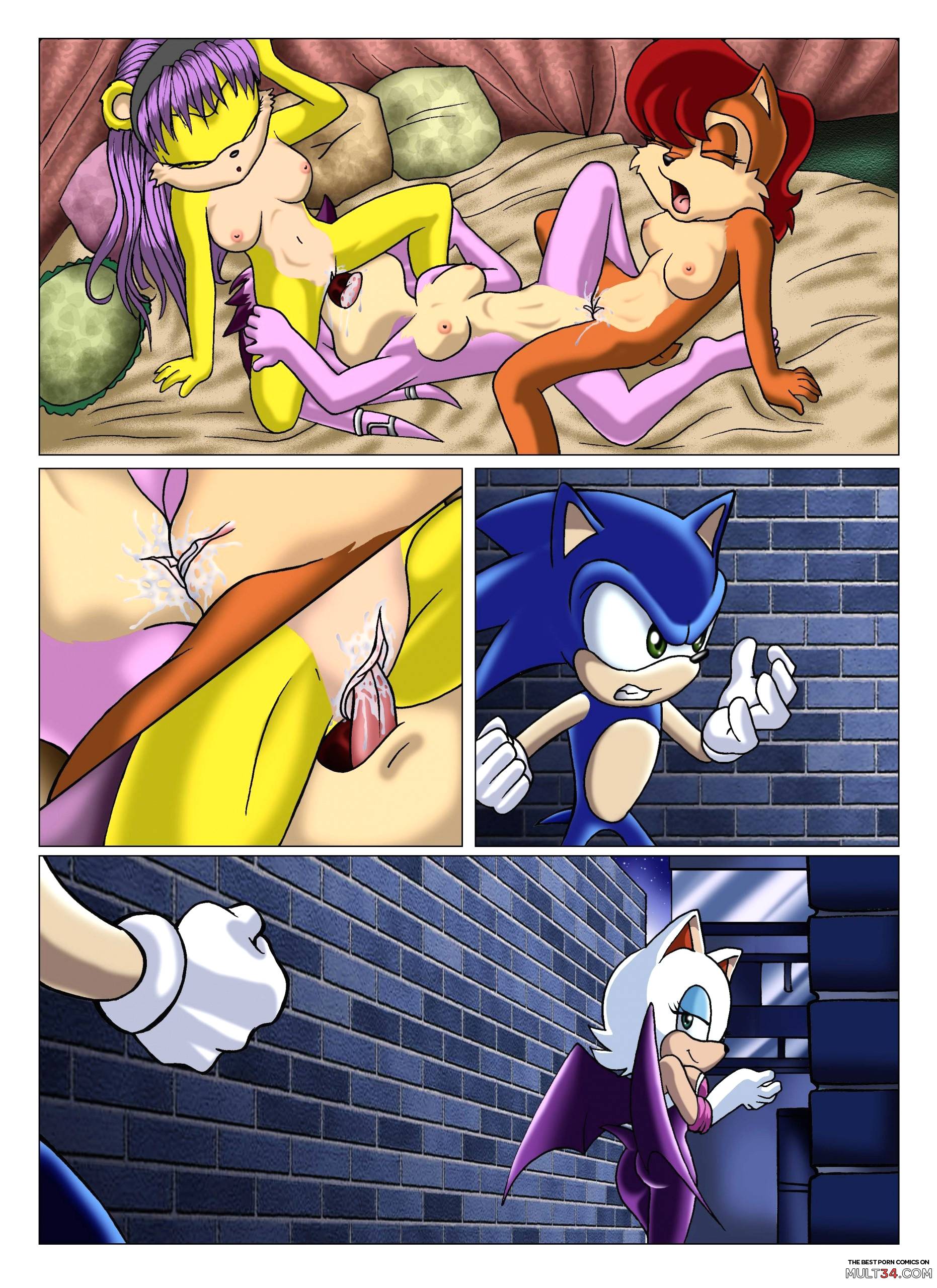 Sonic XXX Project page 14