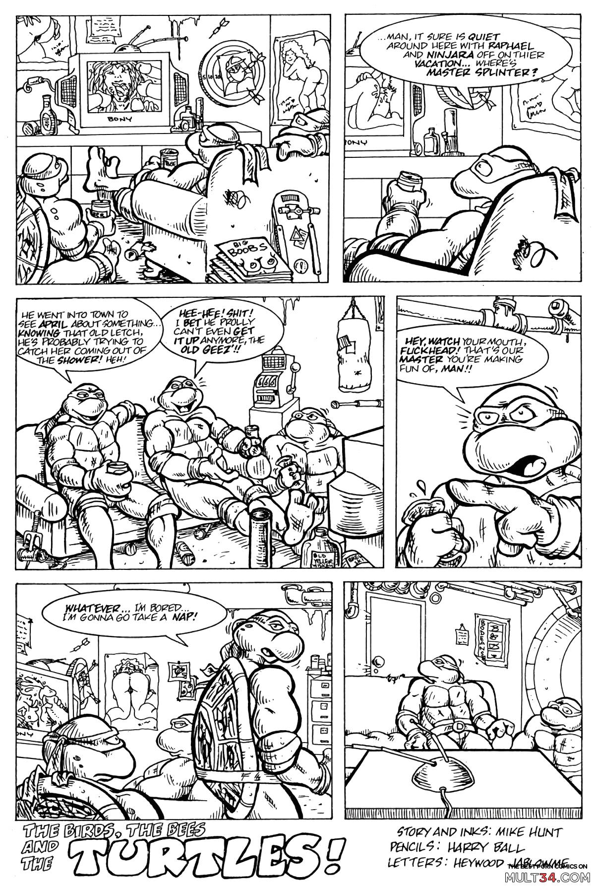 Teenage Mutant Ninja Turtles page 2