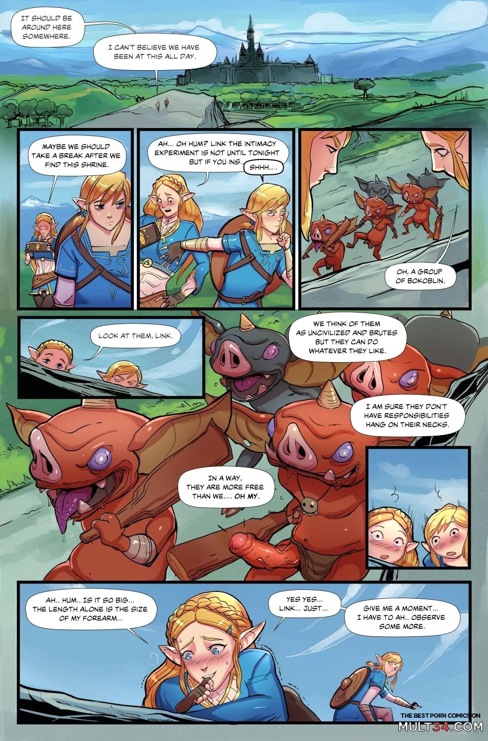 The Legend of Zelda: Breath of Bokoblin Cock page 2