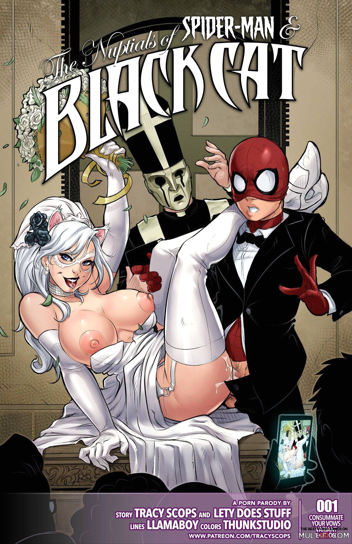 Ultimate spiderman black cat sexy comic porno