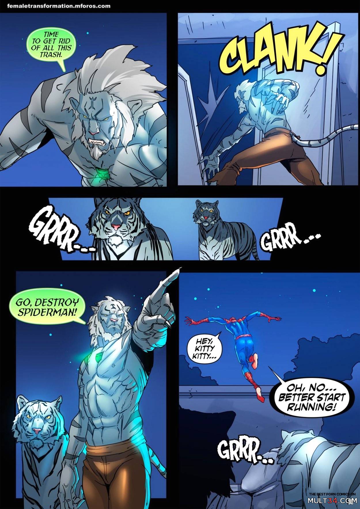 The White Tiger Amulet #2 page 17