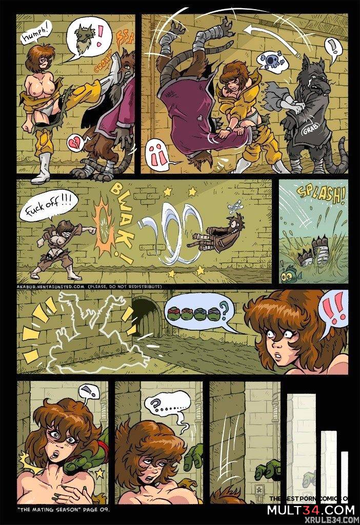 Turtles page 10