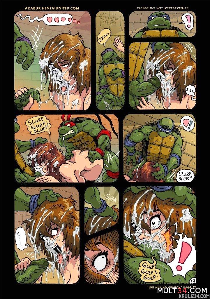 Turtles page 18