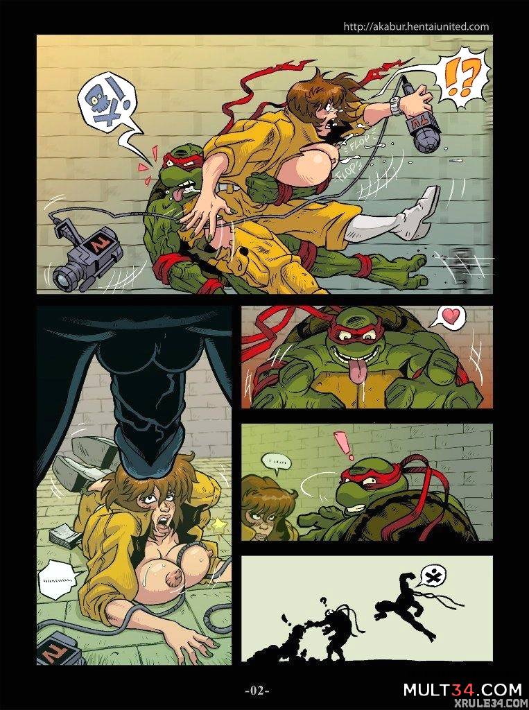 Turtles page 3