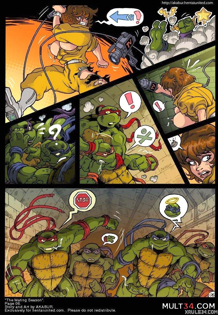 Turtles page 7