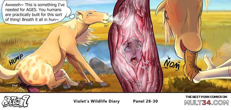Violets Wildlife Diary page 12