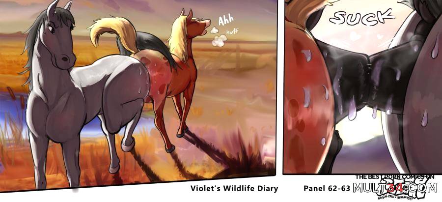 Violets Wildlife Diary page 26