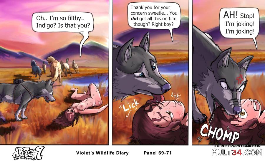 Violets Wildlife Diary page 29