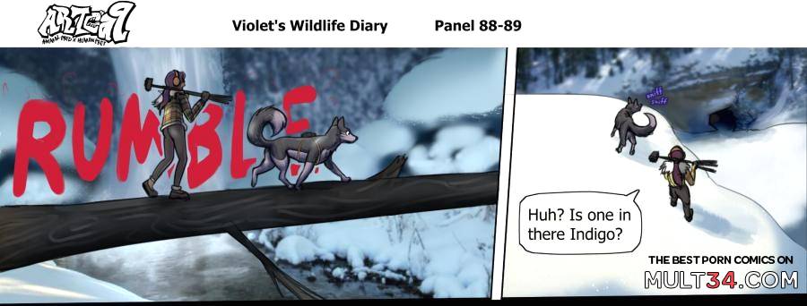 Violets Wildlife Diary page 34